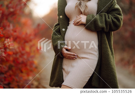 Beautiful pregnant woman feeling lovely and Relax in the park. Motherhood. Maternity. Autumn season. Beautiful pregnant woman feeling lovely and Relax in the park. Motherhood. Maternity. Autumn season. 105535526