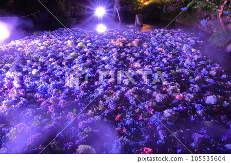 天引觀音繡球節水塚燈飾<天引山樂法寺> 105535604