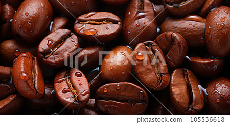 Fresh coffee beans banner. Coffee beans background. Close-up food photography Fresh coffee beans banner. Coffee beans background. Close-up food photography 105536618