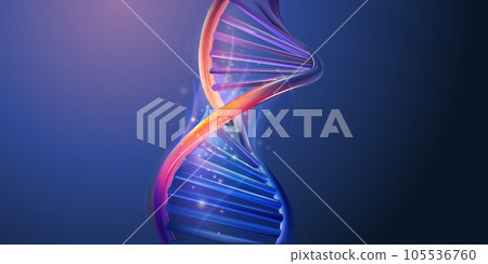 Double-stranded helix structure of abstract DNA model. Double-stranded helix structure of abstract DNA model. 105536760