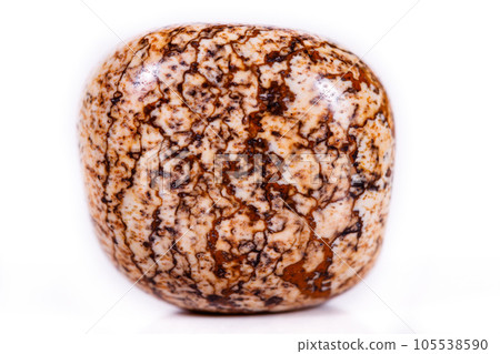 Macro mineral rock jasper landscape sandy on white background Macro mineral rock jasper landscape sandy on white background 105538590