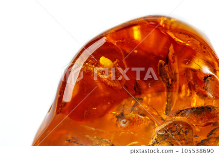 Macro Amber mineral stone with spider on white background 105538690