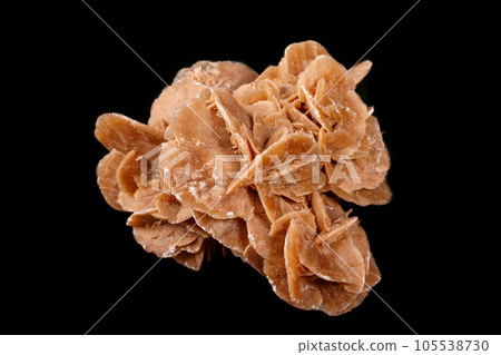 Macro mineral stone desert rose or sand rose on a black background Macro mineral stone desert rose or sand rose on a black background 105538730
