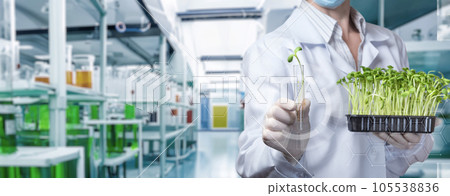 The concepts of growing experimental specimens of plants . 105538836