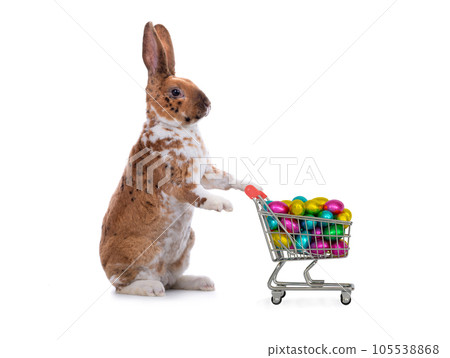 shopping trolley filled with multi-colored chocolates in the form of easter eggs 105538868