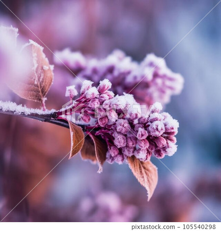 frozen branch of lilac purple color close-up, Generative AI 105540298