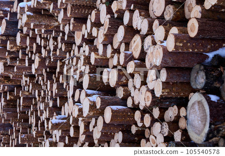 Sawn pine forest in form of lumber logs or roundwood storage outdoors in winter. Sawn pine forest in form of lumber logs or roundwood storage outdoors in winter. 105540578
