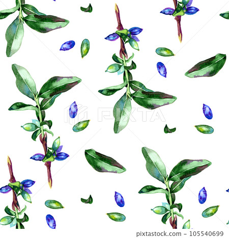 Watercolor honeysuckle berries illustration pattern Watercolor honeysuckle berries illustration pattern 105540699