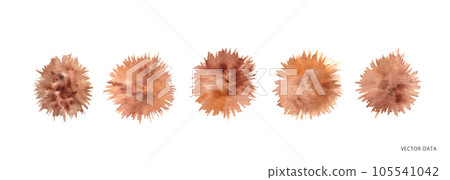 Watercolor. Vector illustration set of chestnut nuts with a watercolor touch. 105541042
