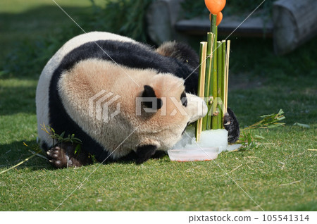 梅濱壟斷了冰糕 105541314