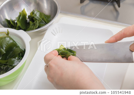 [Housewife cooking raw seaweed] 105541948