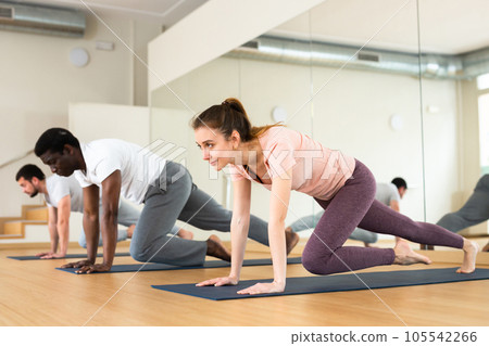 Woman and men exercising on mats in gym Woman and men exercising on mats in gym 105542266