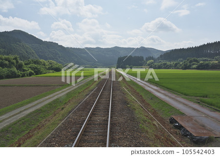 A single track running through the countryside in midsummer 105542403