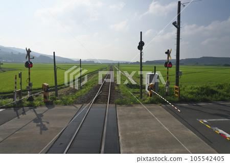A single track running through the countryside in midsummer 105542405