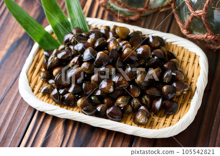 Clams served in a colander (500g) from Shimane Prefecture 105542821