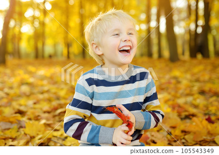 Close up portrait of happy little boy during stroll in the forest at sunny autumn day Close up portrait of happy little boy during stroll in the forest at sunny autumn day 105543349