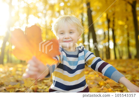 Close up portrait of happy little boy during stroll in the forest at sunny autumn day 105543357