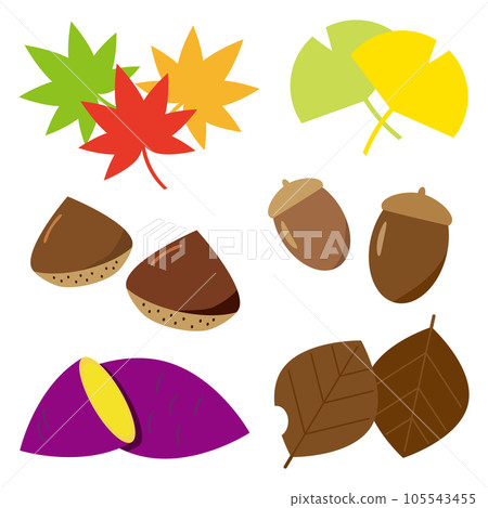 Illustration set of autumn leaves and autumn taste 105543455
