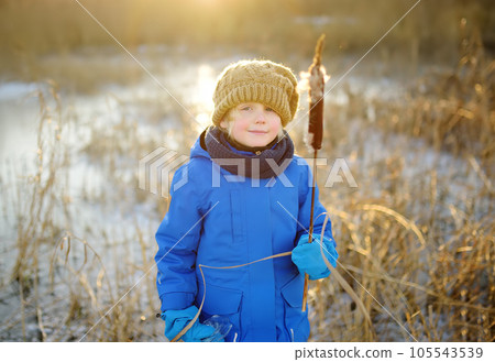Cute preschool boy is playing on the ice of a frozen lake or river on a cold sunny winter sunset. Child having fun with icicle and dry reed plant during family hiking. Kids outdoor games Cute preschool boy is playing on the ice of a frozen lake or river on a cold sunny winter sunset. Child having fun with icicle and dry reed plant during family hiking. Kids outdoor games 105543539