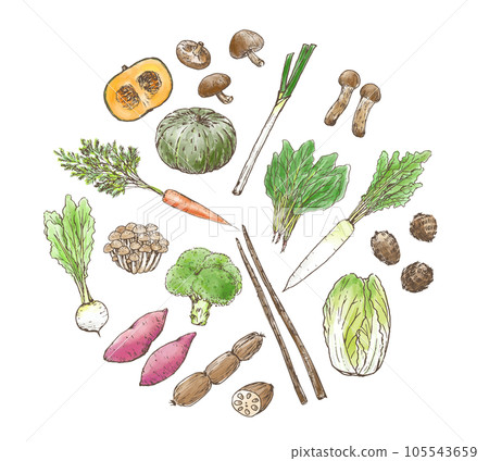 秋冬蔬菜套圈設計手繪插畫矢量 105543659