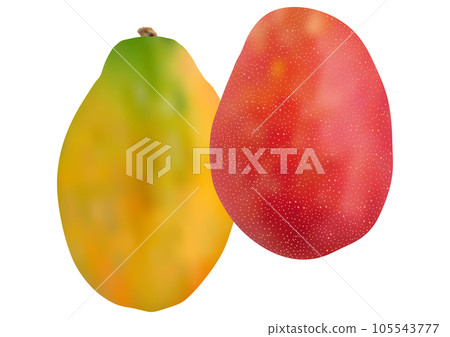 "Papaya (Papaya)" and "Mango" two vertically overlapping 105543777