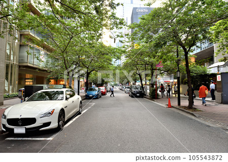 東京日本橋的一排櫻花樹 105543872
