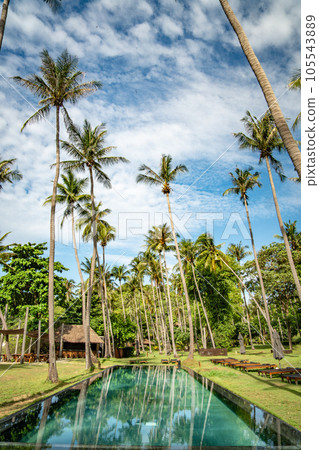 View of Haad Tien Beach resort in shark bay, koh Tao, Thailand 105543889