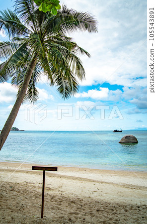 View of Haad Tien Beach resort in shark bay, koh Tao, Thailand 105543891