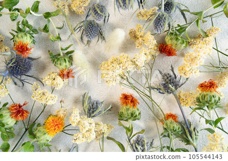 yellow statice and eryngium and safflower dried flower wallpaper 105544143
