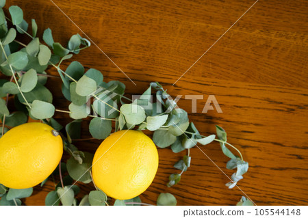 Lemon and eucalyptus and brown margins 105544148