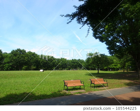 West Tokyo Ikoinomori Park West Tokyo Ikoinomori Park 105544225