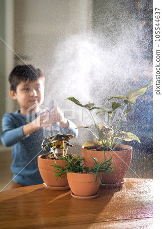 A boy sprays flowers in orange clay terracotta pots with a spray gun. A boy sprays flowers in orange clay terracotta pots with a spray gun. 105544637