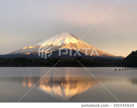 Mt. Fuji dyed in the setting sun from Lake Shoji 105545029