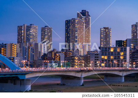 「神奈川縣」武藏小杉塔宅邸夜景 / 從多摩川河床眺望 「神奈川縣」武藏小杉塔宅邸夜景 / 從多摩川河床眺望 105545311