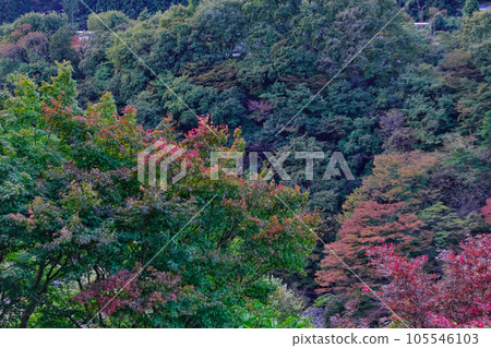 風景與山谷 風景與山谷 105546103