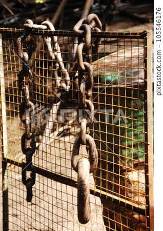 Closeup of a Metal Chain Closeup of a Metal Chain 105546176