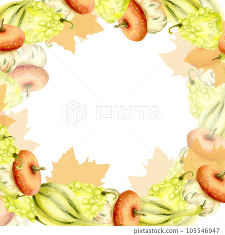 Watercolor pumpkin composition, orange,green and yellow pumpkins. Harvest illustration isolated 105546947