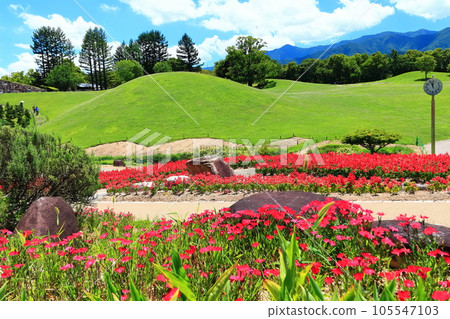 [Kagawa Prefecture] National Sanuki Manno Park in summer (Flower field and lawn square) 105547103