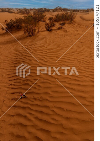 Natural Scenery (China, Takelamagan) Natural Scenery (China, Takelamagan) 105547121