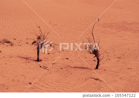 自然風光（中國，塔克拉瑪幹） 105547122