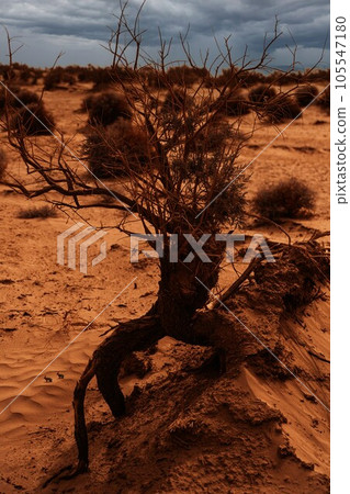 自然風光(中國,塔克拉瑪幹) 自然風光(中國,塔克拉瑪幹) 105547180