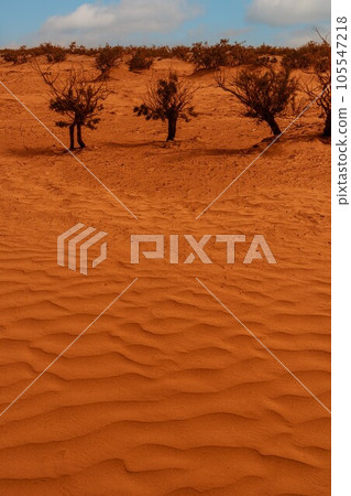 自然風光(中國,塔克拉瑪幹) 自然風光(中國,塔克拉瑪幹) 105547218