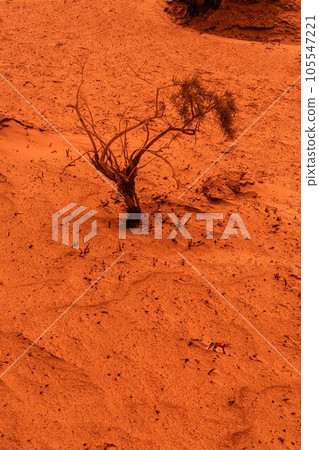 自然風光(中國,塔克拉瑪幹) 自然風光(中國,塔克拉瑪幹) 105547221