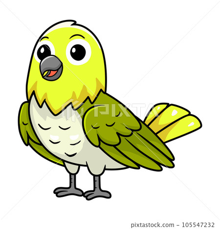 Cute warbling white eye bird cartoon Cute warbling white eye bird cartoon 105547232