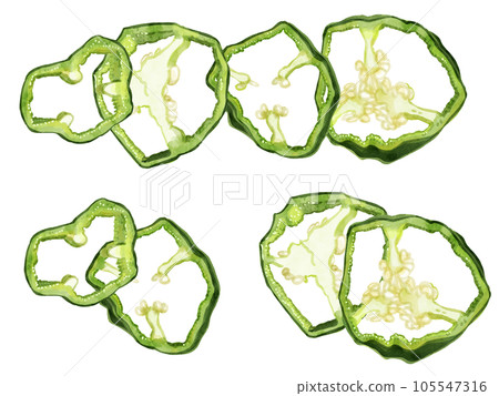 手繪水彩切片辣椒圖一點線集 手繪水彩切片辣椒圖一點線集 105547316