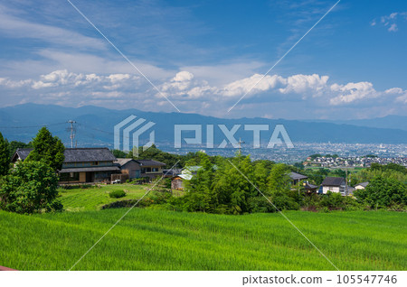 Nakano's terraced rice fields, summer rural scenery, Minami Alps City 105547746