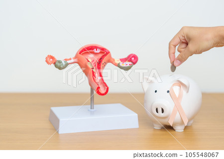September Uterine Cancer Awareness month. Uterus model and Peach Ribbon with Piggy Bank for support illness life. Health, Donation, Charity, Campaign, Money Saving, Fund and World cancer day concept 105548067