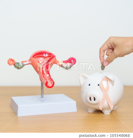 September Uterine Cancer Awareness month. Uterus model and Peach Ribbon with Piggy Bank for support illness life. Health, Donation, Charity, Campaign, Money Saving, Fund and World cancer day concept 105548068