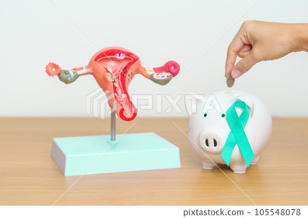 September Ovarian cancer Awareness month. Uterus model and Teal Ribbon with Piggy Bank for support illness life. Health, Donation, Charity, Campaign, Money Saving, Fund and World cancer day concept September Ovarian cancer Awareness month. Uterus model and Teal Ribbon with Piggy Bank for support illness life. Health, Donation, Charity, Campaign, Money Saving, Fund and World cancer day concept 105548078