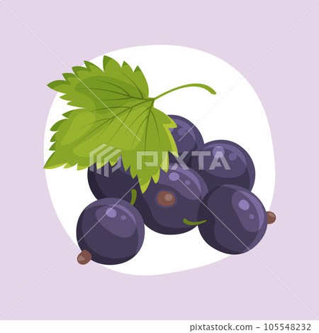 Ripe juicy blackcurrant berries in flat cartoon style. Eco product. Vector illustration. 105548232